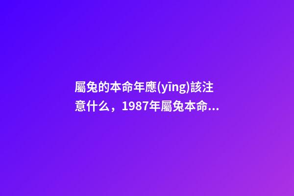 屬兔的本命年應(yīng)該注意什么，1987年屬兔本命年 87年的兔子應(yīng)該注意的什么-第1張-觀點(diǎn)-玄機(jī)派